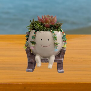 Maceta con forma de carita sonriente en mecedora con drenaje, adornada con una suculenta artificial extraíble.