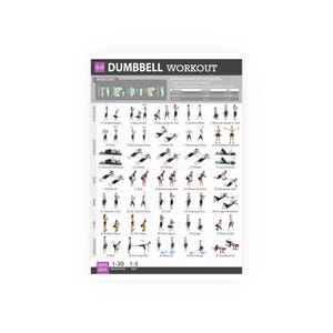 Peut inclure: Une affiche blanche intitulée "Dumbbell Workout" avec une bannière gris foncé. L'affiche présente des illustrations d'exercices avec haltères, classés par groupes musculaires, avec des instructions et des informations sur les répétitions/séries. Le fond est blanc.