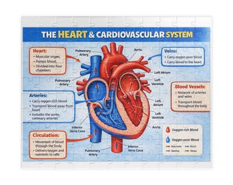 Human Heart and Cardiovascular System Puzzle (110, 252, 520, 1014-piece)