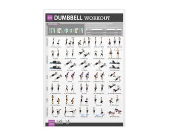 Dumbbell Workout Chart Foam Board | Exercise Poster, Strength Training Guide
