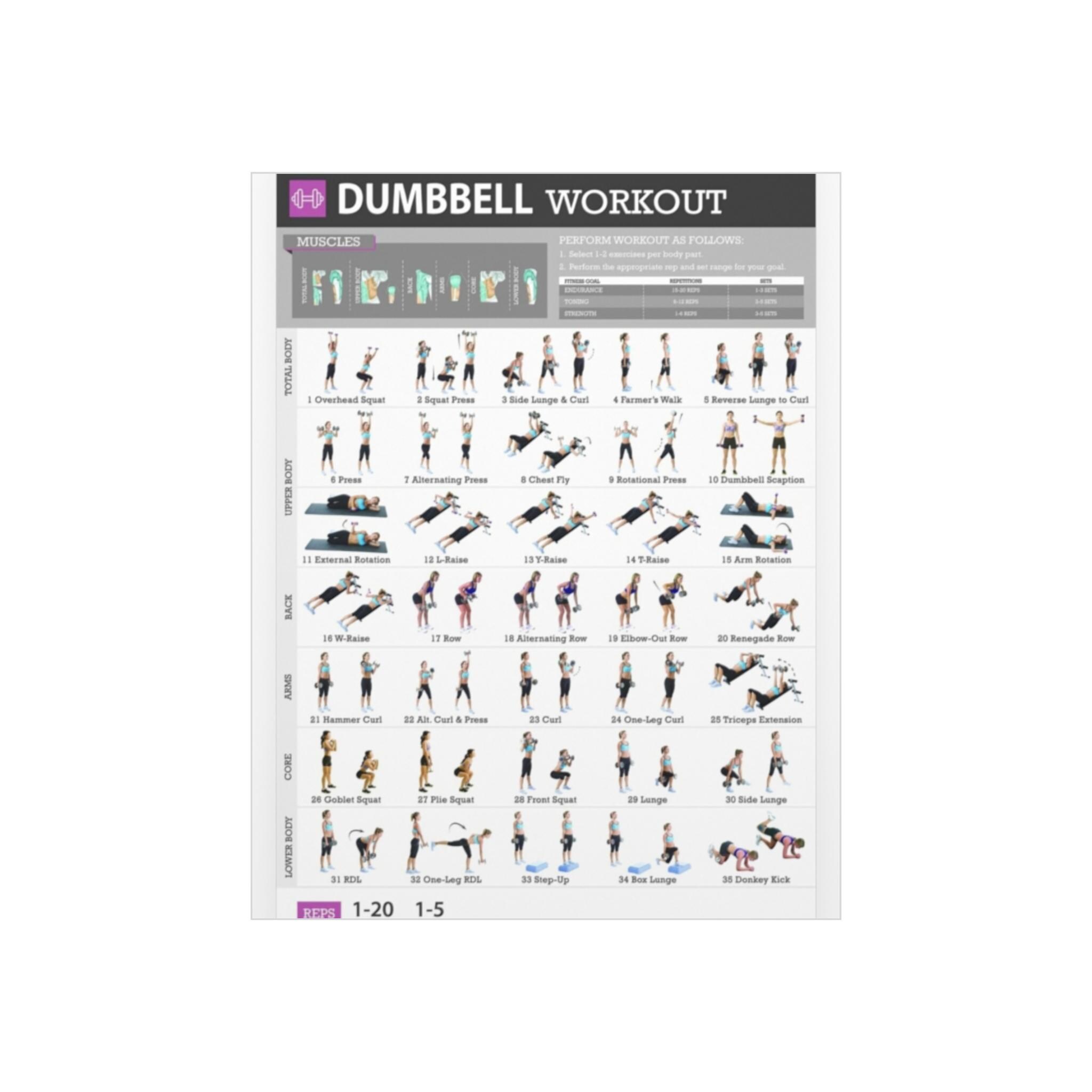 Dumbbell Workout Chart Foam Board | Exercise Poster, Strength Training ...