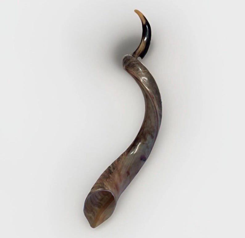 Shofar Kudu yemení XXXL 45”-50” (119-130 cm) Nuevo Kosher Semipulido Envío gratis a EE. UU. imagen 2