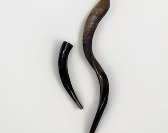 Shofar Yemenita Cuerno Kudu + Regalo Gratis XL 30”-35” + Regalo Gratis Hecho Kosher Envío Gratis