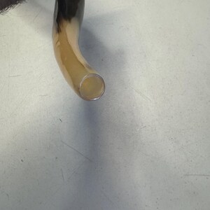 Shofar Kudu yemení XXXL 45”-50” (119-130 cm) Nuevo Kosher Semipulido Envío gratis a EE. UU. imagen 10