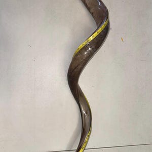 Shofar Kudu yemení XXXL 45”-50” (119-130 cm) Nuevo Kosher Semipulido Envío gratis a EE. UU. imagen 6