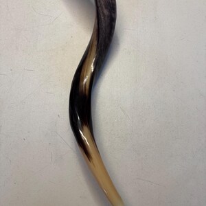 Shofar Kudu yemení XXXL 45”-50” (119-130 cm) Nuevo Kosher Semipulido Envío gratis a EE. UU. imagen 11