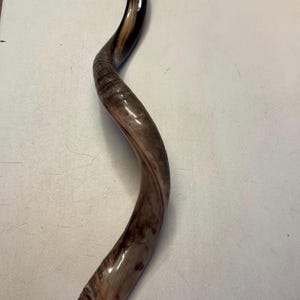 Shofar Kudu yemení XXXL 45”-50” (119-130 cm) Nuevo Kosher Semipulido Envío gratis a EE. UU. imagen 12