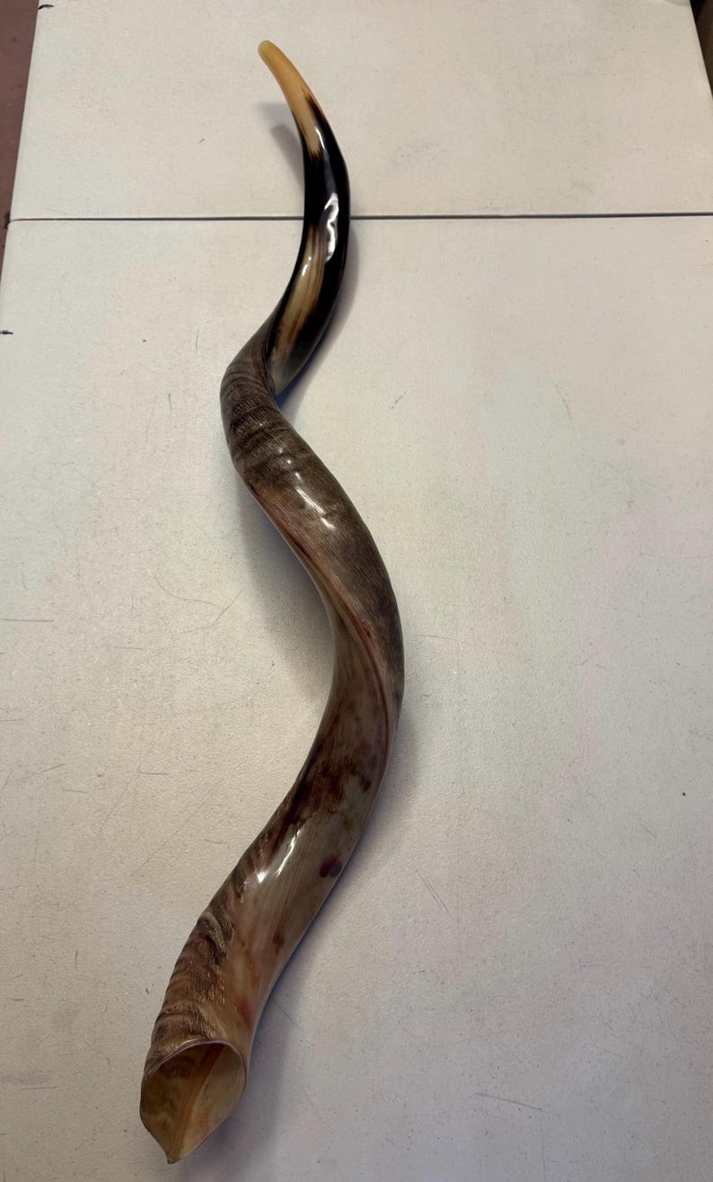 Shofar Kudu yemení XXXL 45”-50” (119-130 cm) Nuevo Kosher Semipulido Envío gratis a EE. UU. imagen 12