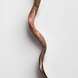 Puede incluir: Un shofar marr&oacute;n, un cuerno ceremonial jud&iacute;o tradicional, hecho de cuerno de carnero. El shofar es curvo y tiene una superficie natural texturizada.