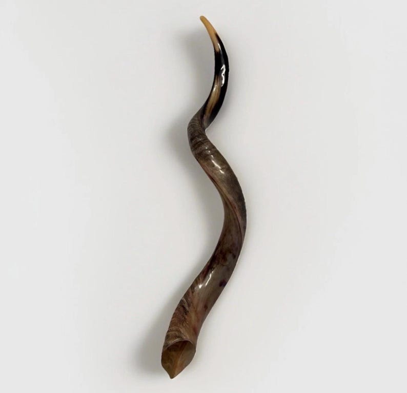 Shofar Kudu yemení XXXL 45”-50” (119-130 cm) Nuevo Kosher Semipulido Envío gratis a EE. UU. imagen 3