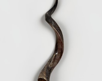 Róg szofar jemeński kudu XL 24”-26”/27”-31”/32”-35”/35”-41” Półpolerowany koszerny Darmowa wysyłka do USA