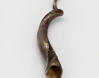 Shofar yemení con cuerno de kudú XXL (102-115 cm), nuevo, kosher, semipulido, envío gratuito a EE. UU.