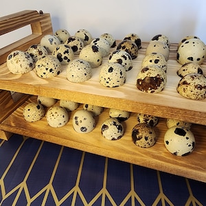 Quail egg shells