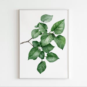 Leaf painting,original watercolor painting,Botanical painting, Unique art, home wall decor,Realistic watercolor painting, Wall art,Gift Idea