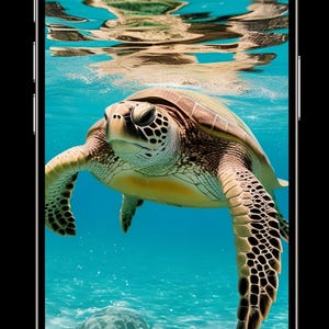 Turtle Underwater Phone Wallpaper | Ocean Sea Turtle Digital Download | 1080x1920 HD Phone Background | Marine Life Wall Art