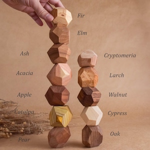 May include: Two vertical stacks of faceted wooden blocks in various natural wood tones. The blocks are labeled with the names Fir, Elm, Ash, Acacia, Apple, Catalpa, Pear, Cryptomeria, Larch, Walnut, Cypress, and Oak, indicating the wood species.