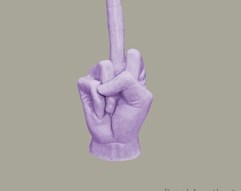 Soap Middle Finger Gift For Him Gift For Her Sculptural Soap Funny Gift Bold Statement Gag Gift Edgy Décor The Unspoken Gesture