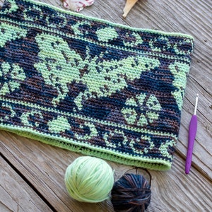 Luna Moth Crochet Cowl // Crocheting Accessory Pattern // DK Weight // Colorwork // Moonflower // Moon Phase // Vanessa Ewing