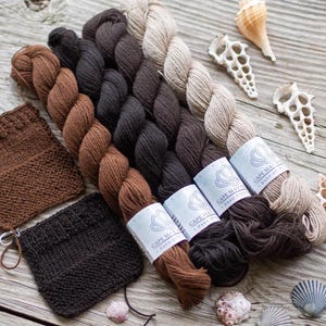 Puede incluir: Cinco ovillos de hilo en varios tonos de marrón y beige, con dos muestras tejidas en marrón y negro. El hilo está etiquetado como "Cape May Yarn" y "Teñido a mano".