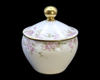 Early 1900s Haviland & Co. Covered sugar bowl Limoges France, antique porcelain.