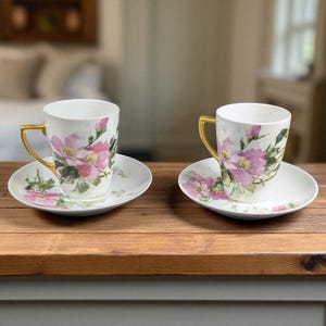 Antique W.G. & Co. Limoges Chocolate Cup and Saucer Set: Hand-Painted Floral Demitasse, Gold Handles
