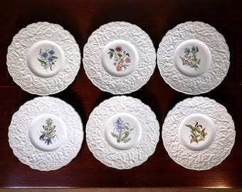 Set of 6 Royal Cauldon Bristol Ironstone "Woodstock Series" Luncheon Plates – 6 different Floral Patterns – 9" Plates – English China