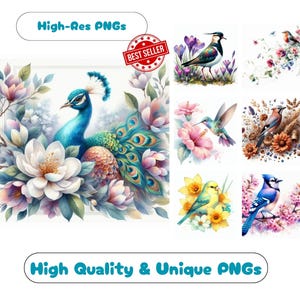 60 Birds Watercolor Clipart PNG Bundle, Printable Birds Graphics For Sublimation Cute Baby Bird Illustration Set
