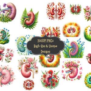 63 Kidney with Flowers  Watercolor Clipart PNG Bundle with Digital PNG Art Download for Scrapbooking Invitations Diy Crafts Wall Prints