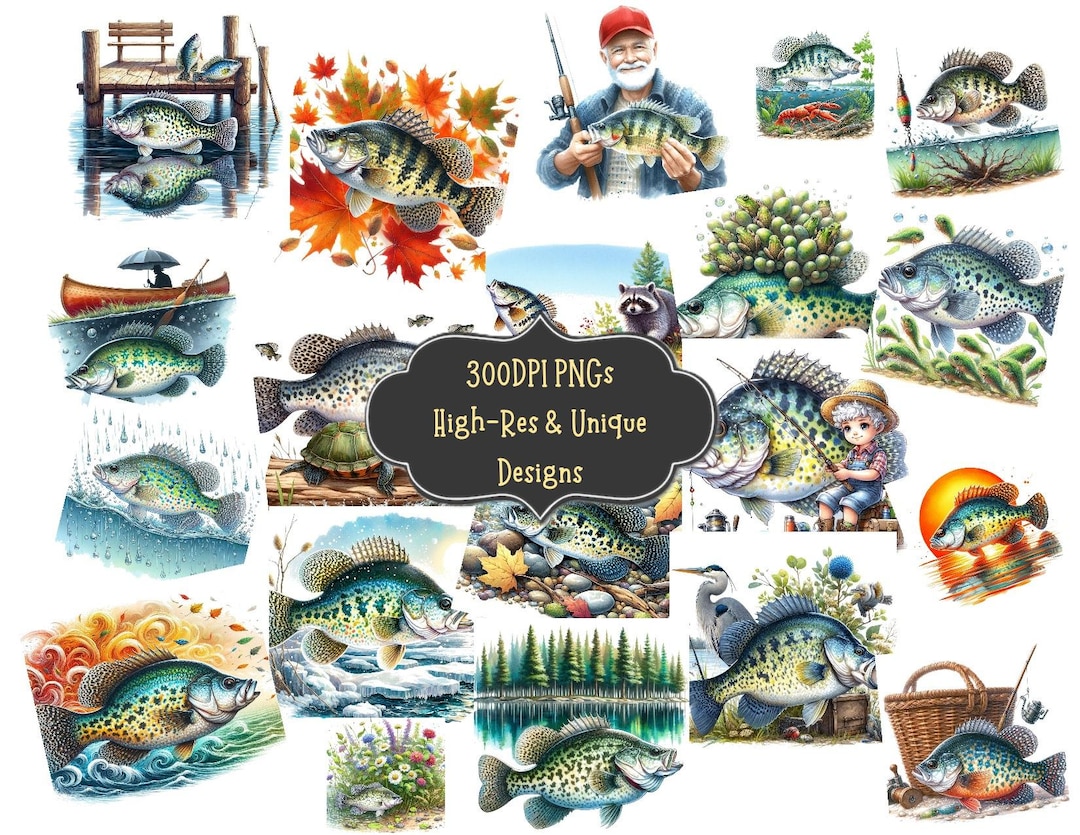 Crappie Fish Graphics 59 Crappie Fish Watercolor Clipart PNG Bundle: Printable PNG Images for ...