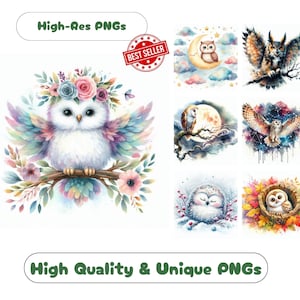 94 Eule Aquarell Clipart PNG Set, wunderliche Eulen Clipart Bundle druckbare Grafiken für spielerische Eule Wandkunst PNG Sublimationsset