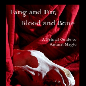 May include: A white animal skull with teeth on a red fabric background. The text "Fang and Fur, Blood and Bone" and "A Primal Guide to Animal Magic" is written in white on the fabric. The word "Lupa" is written in white at the bottom of the image.