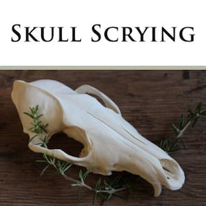 May include: A white animal skull with a sprig of rosemary on a wooden surface. The text "SKULL SCRYING" is at the top of the image and the text "ANIMAL SKULLS IN DIVINATORY TRANCE WORK" is below the skull. The text "LUPA" is at the bottom of the image.