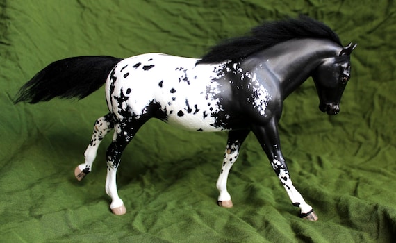 Calliope - Breyer Custom Black Blanket Appaloosa Cantering Welsh