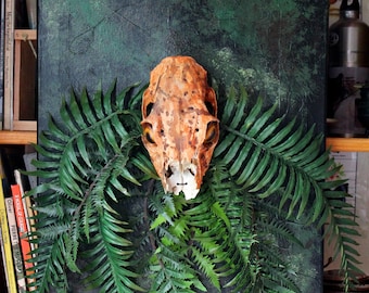 Tree Octopus - forest cephalopod sculpture with deer skull, faux ferns, taxidermy eyes, painted canvas background - upcycled materials