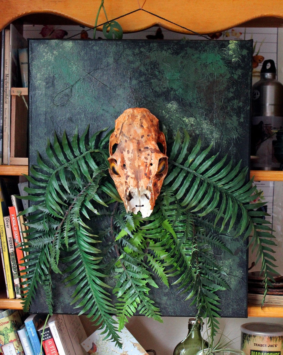 Pacific Northwest Tree Octopus Habitat