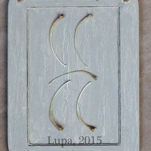 May include: A gray wooden plaque with a white border and the text "Five of Cups" at the top. The plaque features five bone-shaped cups arranged in a vertical line. The text "Lupa, 2015" and "thetarot of bones.com" are at the bottom of the plaque.