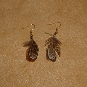 Real pheasant almond feather earrings on fish hook ear wires Bild 2