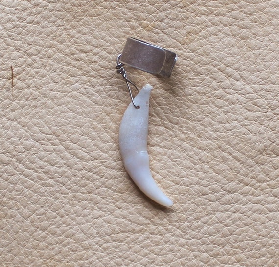Real Single Red Fox Tooth on Silver-plated Brass Ear Cuff | Etsy