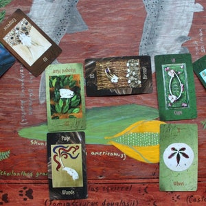 Horse Spread eight card Tarot of Bones reading from author Lupa - nature based divination - spirit pagan tarot guide familiar