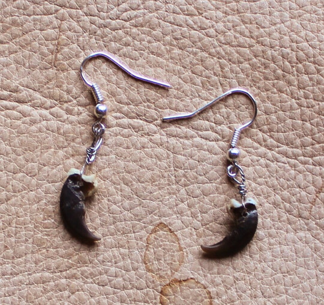 Real Raccoon Claw Earrings on Fish Hook Ear Wires 