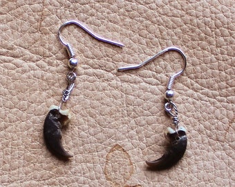 Real raccoon claw earrings on fish hook ear wires