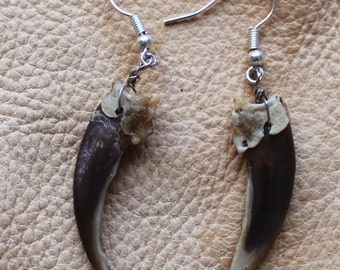 Real badger front claw earrings with fish hook ear wires