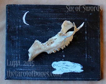 Six of Swords - Tarot of Bones original assemblage - real deer skull OOAK