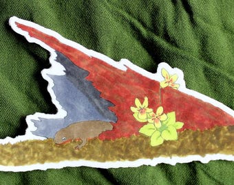 Rough-Skinned Newt in a Log, Moss, and Monkey Flower 4" Indoor/Outdoor Vinyl Sticker Nature Wildlife Art