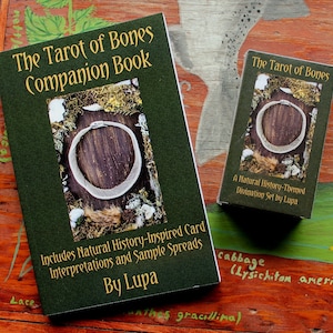 The Tarot of Bones Begleitbuch PAPERBACK, kein Deck enthalten - heidnische Tarotkarten