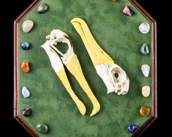 The Lovers - Tarot of Bones original assemblage - REPLICA albratross skull, tumbled stones and other natural and found materials OOAK