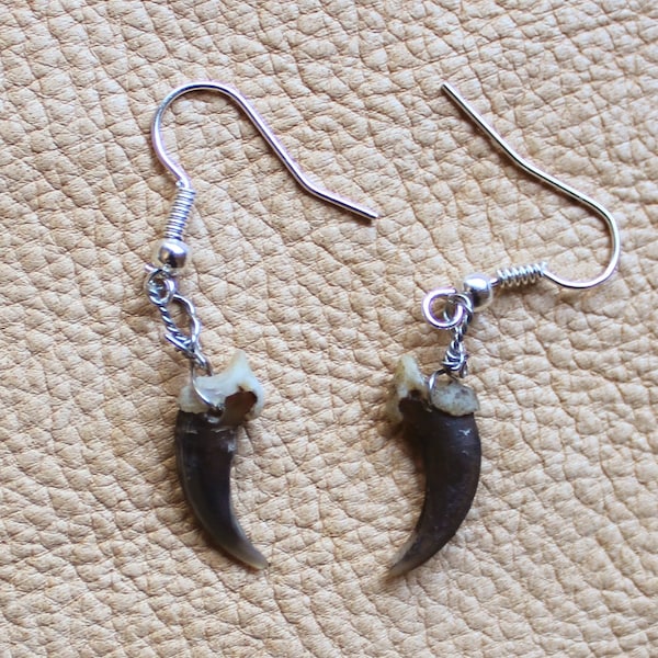 Real red fox claw earrings on fish hook ear wires