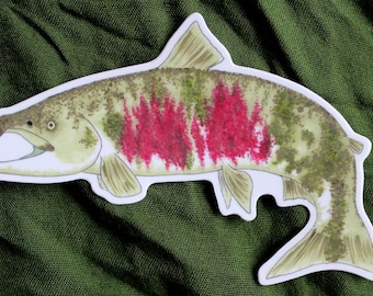Chum Salmon 4" Indoor/Outdoor Vinyl Sticker Nature Wildlife Art Fish Fishing