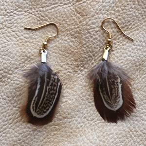 May include: A pair of earrings featuring brown and white feathers with gold hooks.