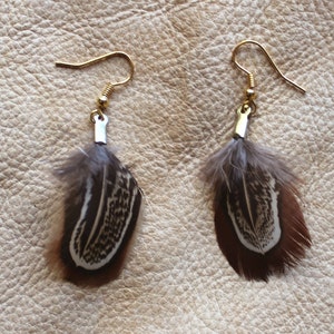 Real pheasant almond feather earrings on fish hook ear wires Bild 1